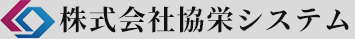 株式会社協栄システム